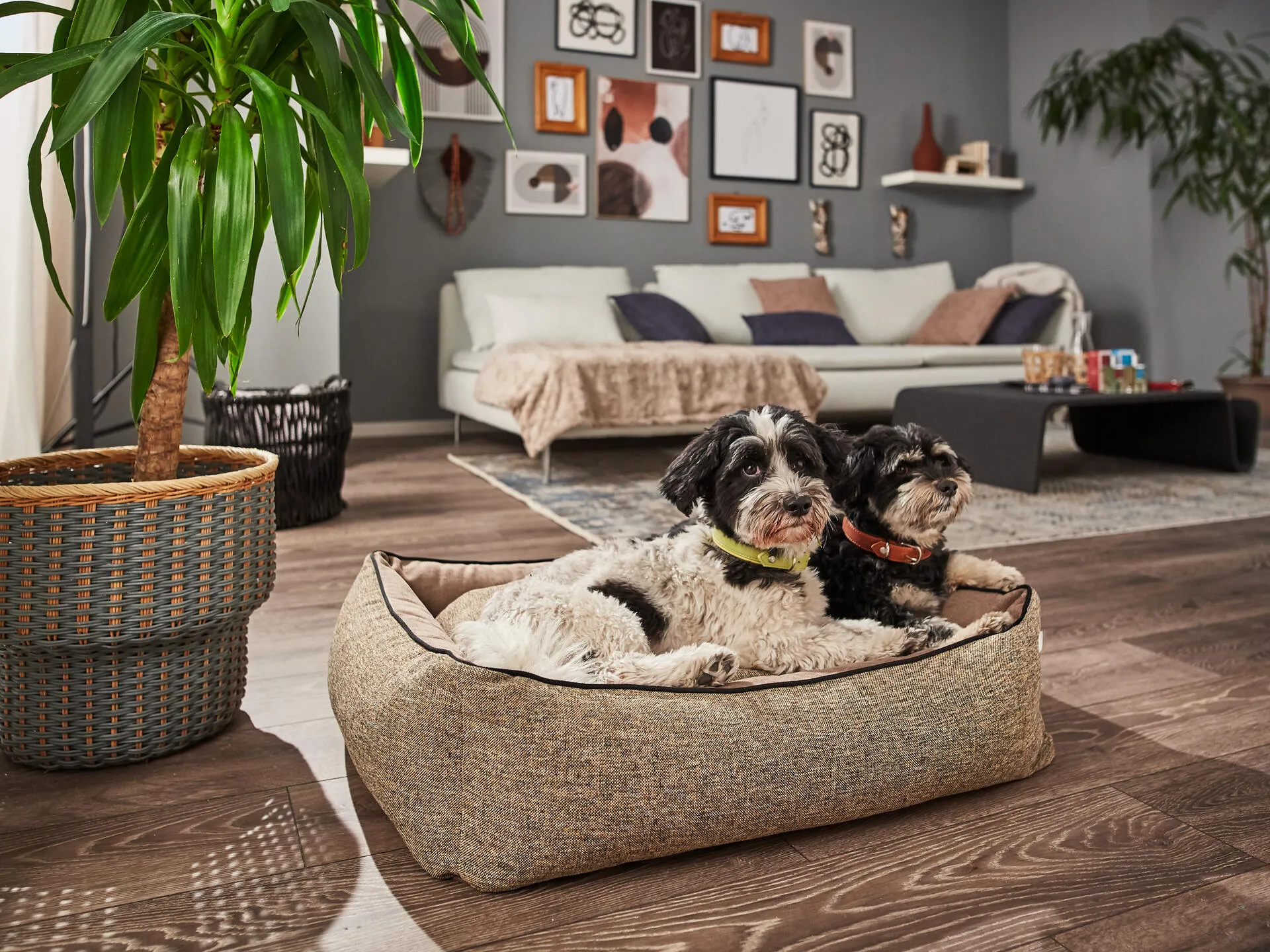 Laboni Scala Reversible Orthopaedic Dog Bed
