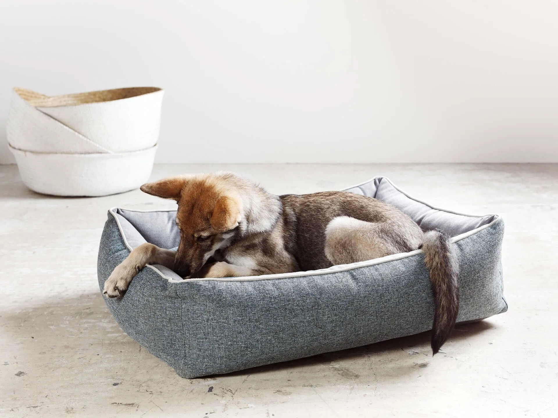 Laboni Scala Reversible Orthopaedic Dog Bed